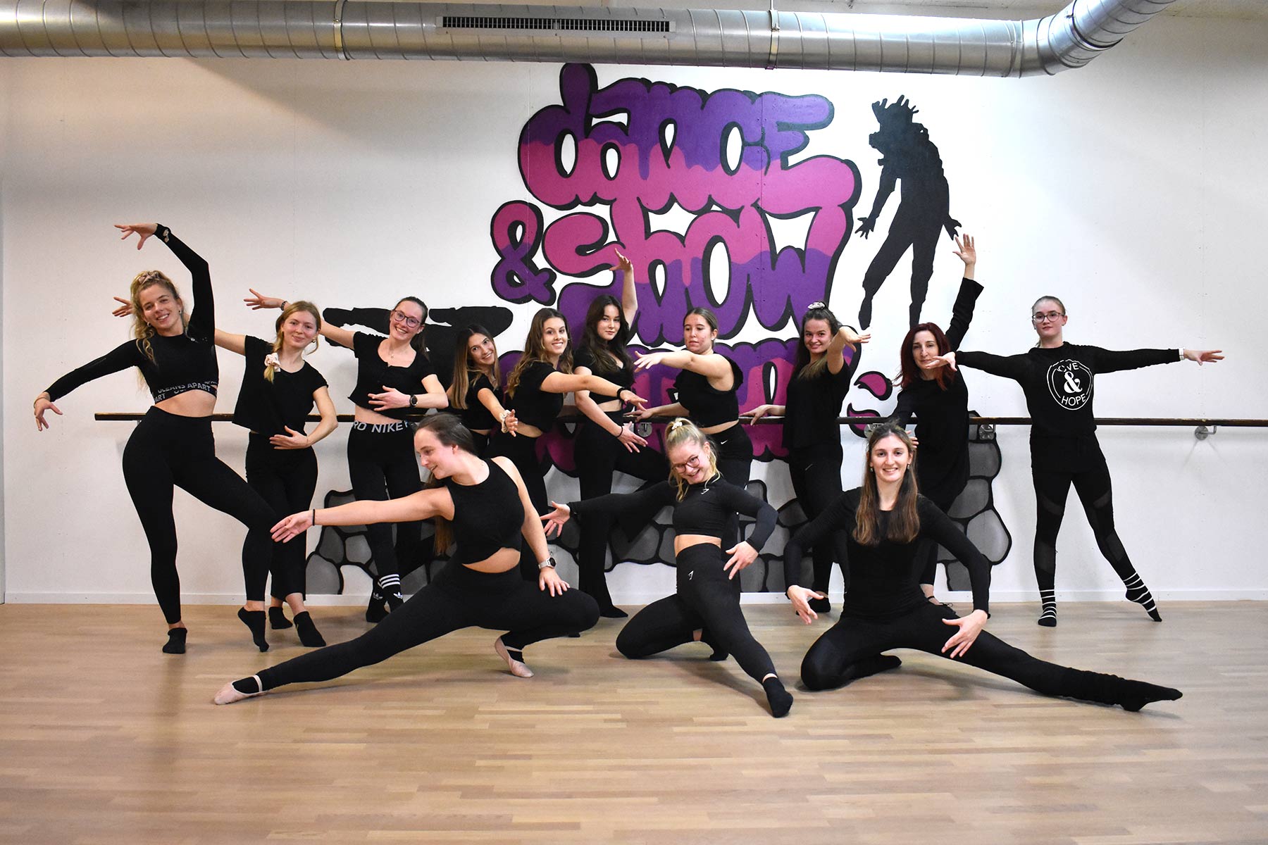 Dance School, dance & show company, Tanzschule Sonja Bolfing